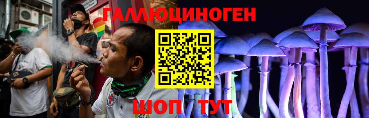 Галлюциногенные грибы Psilocybe Лениногорск